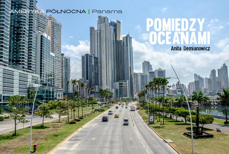 Losowy darmowy artykuł